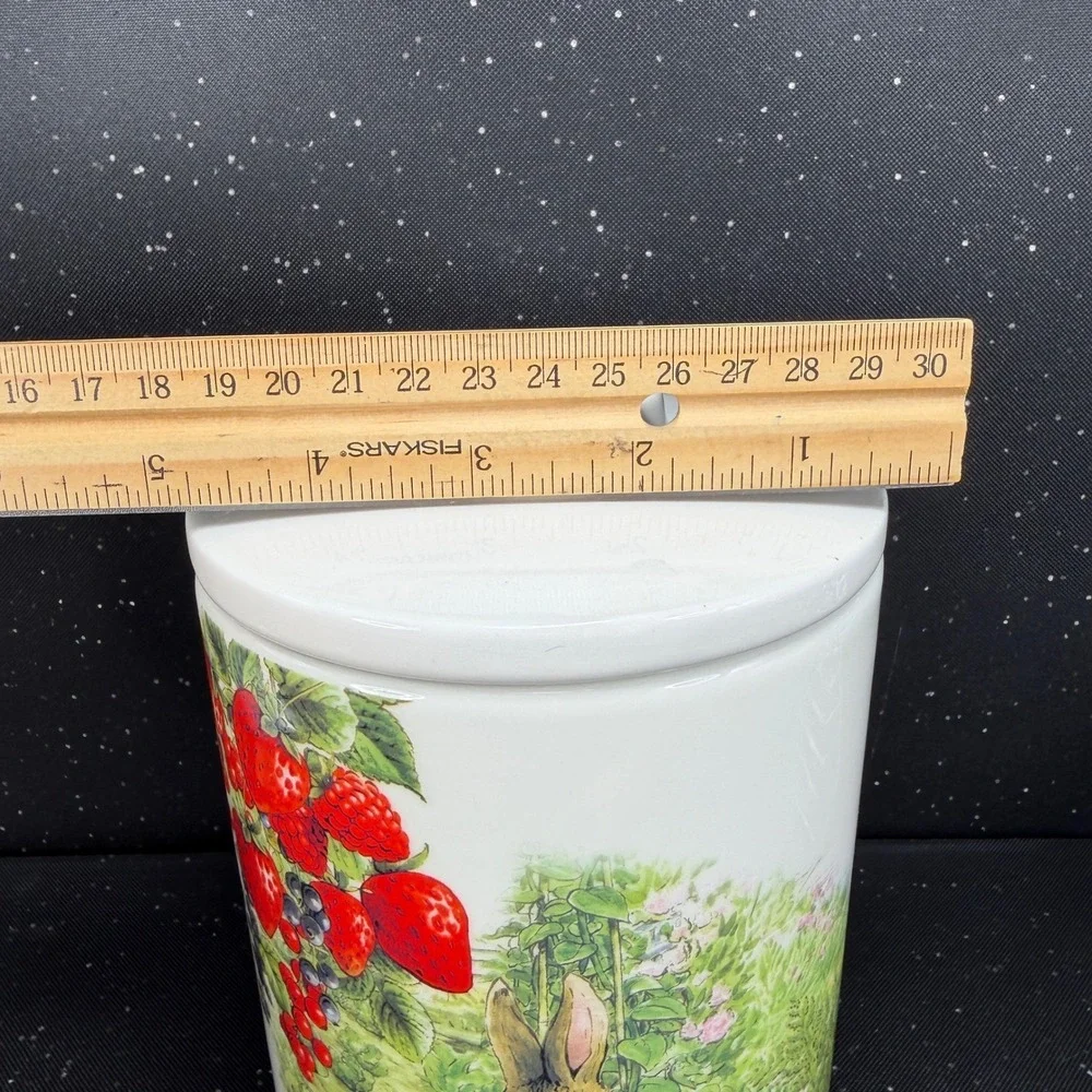 Zrike Brands Beatrix Potter Peter Rabbit Strawberry Ceramic Canister Jar 8in